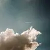 公司领导照片